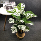 Dlight Decor White Monstera Palm for Bold Floor Styling