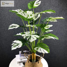 Dlight Decor White Monstera Palm for Bold Floor Styling