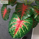 Dlight Decor White Monstera Palm for Bold Floor Styling