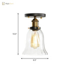 Introducing The Ella Collection: Versatile Semi - Flush Mount Lighting