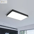 Envision Modern Simplicity: The Aurora Flush Mount