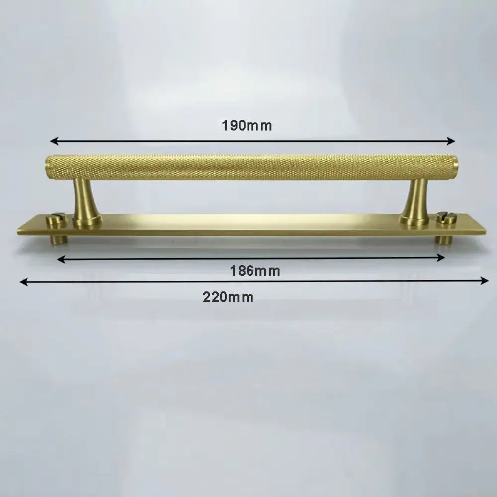 Gold Brass Handle with Plate – Knurled Cabinet Knobs and Modern Furniture Pulls TS9009-GP190 Handles