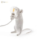 Modern Led Animal Table Lights - Whimsical Rat Cat Squirrel And Mouse Night Lamps Lamp