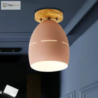 Londyn Modern Oval Semi - Flush Mount: Colorful Accent Lighting For Your Bedroom
