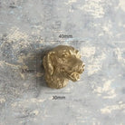 Luxury Brass Solid Handle Pure Copper Animal Shape High-grade Gold Wardrobe Dresser Drawer Cabinet Pulls Furniture