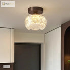 Brown flush-mount LED ceiling light with frosted glass shades over doorway