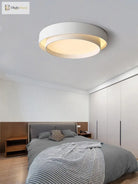Nordic Minimalist Modern Ceiling Lamp - Designer Lighting For Stylish Living Rooms And Master