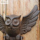 Close-up of cast iron owl door knocker face and wings on a wooden door
