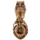 Victorian cast brass owl door knocker angled front view with curled feather and ring base