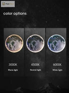 Dlight Decor Planet Mural Wall Light for Interiors Wall Art