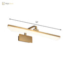Rylee Modern Gold Led Vanity Lamp