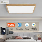 Smart Led Ceiling Lamp - 20 - Inch Ultra - Thin Lighting Fixture For Living Room Bedroom And